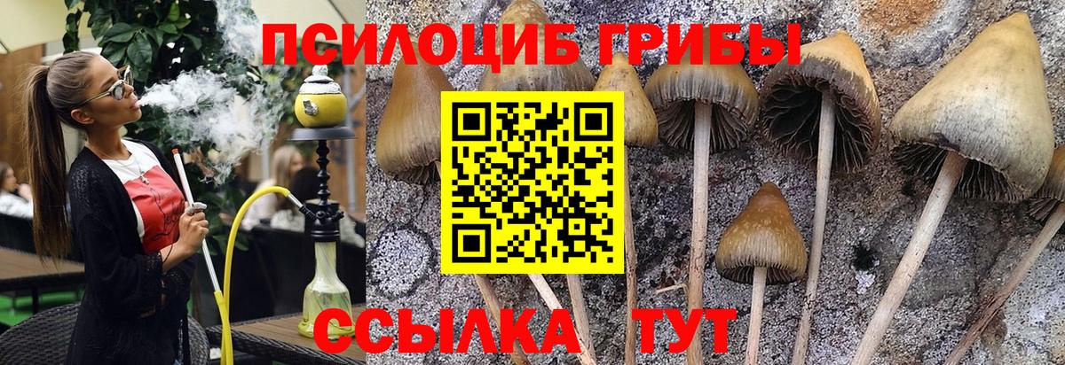 Галлюциногенные грибы MAGIC MUSHROOMS Полевской
