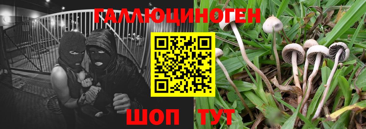 Псилоцибиновые грибы Magic Shrooms  Вход с VPN  дарнет шоп  Полевской 